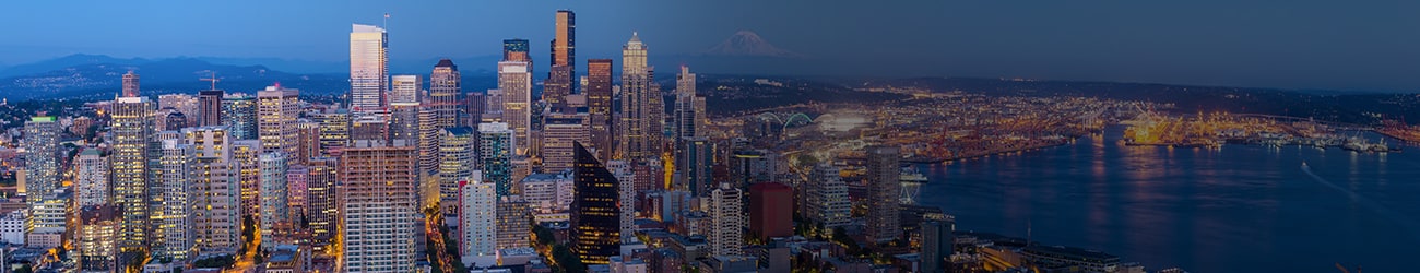 Seattle Skyline Large