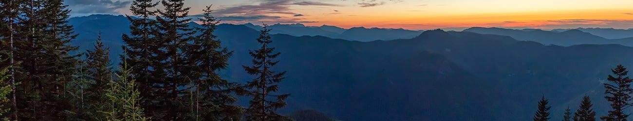 bothell Mountains Banner