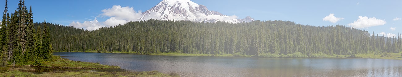 federal-way mountains banner