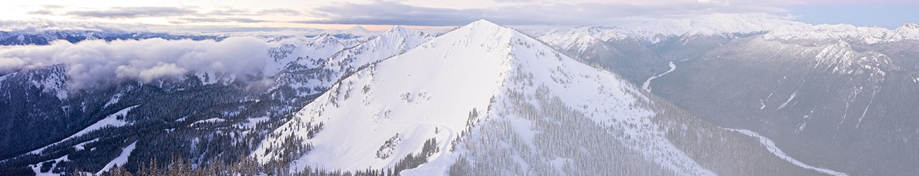 renton Mountains Banner