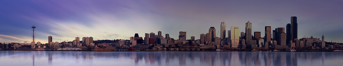 Seattle skyline banner