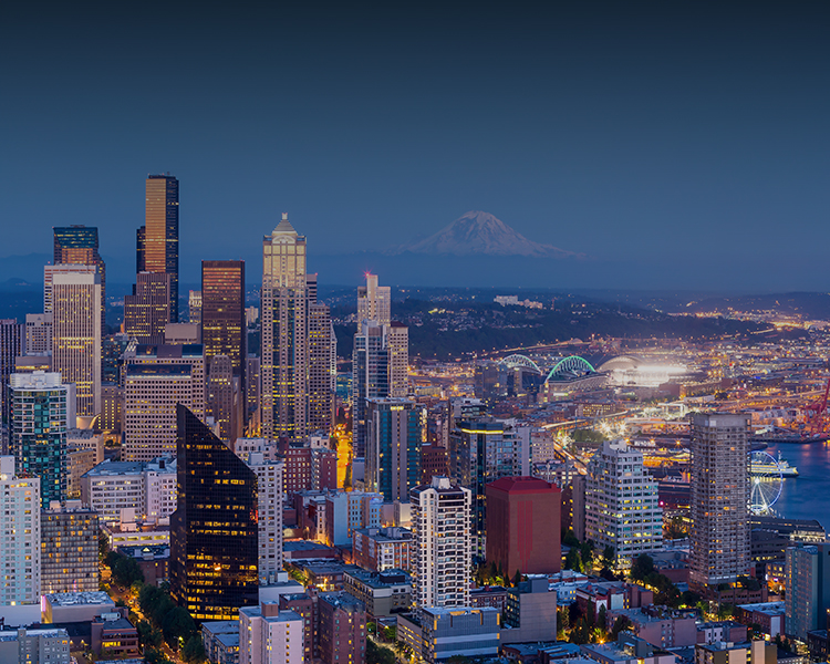 Seattle Skyline