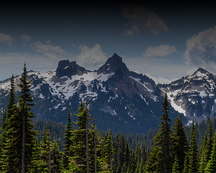 shoreline_desktop.jpg