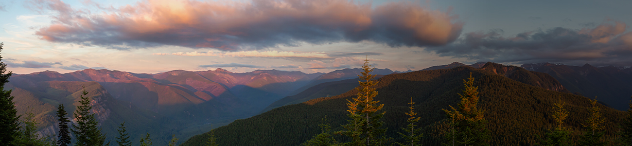 Puyallup_desktop.jpg